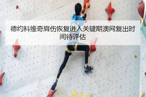德约科维奇肩伤恢复进入关键期澳网复出时间待评估